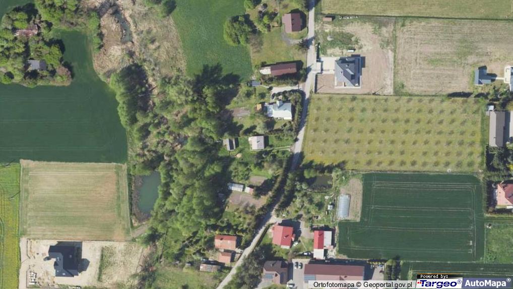 Nowe Boryszewo 9 (ul), 09442 Nowe Boryszewo